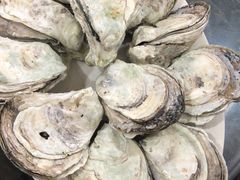 -蚝专家(北滘店)