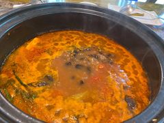 -乳仔牛牦牛汤锅 烤羊排(松潘古城店)