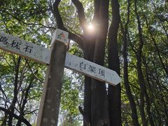 -火炉山森林公园