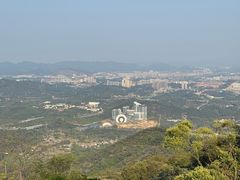 -黄埔油麻山森林公园
