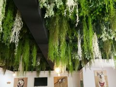 -Husky Go! 哈士奇体验馆·宠物咖啡厅狗咖