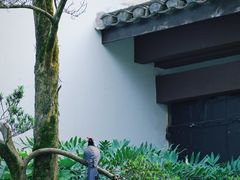 -杭州植物园