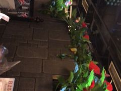 -舌尖上的食缘花园主题餐厅