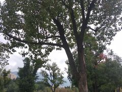 -牛岗山公园