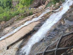 -广州白江湖森林公园