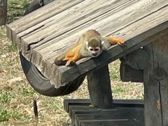 -大连森林动物园