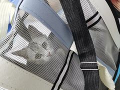 -东莞宠友24H宠物中心医院·转诊夜诊·异宠(新河北路院)