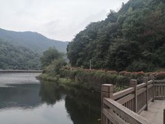 -桃花岭景区