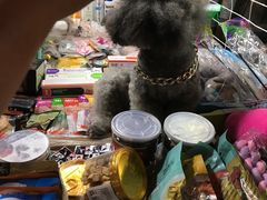 -吴山路夜市