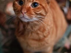 -星光摄影器材城