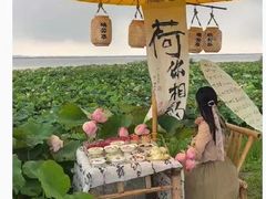 -七的湖·晚芳亭·阳澄湖农家菜·大闸蟹(莲花岛店)