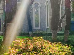 -重庆市江北嘴中央商务区中央公园