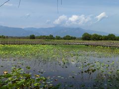 -野鸭湖国家湿地公园