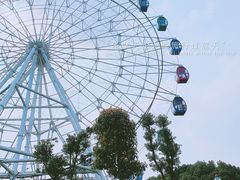 -花博汇(知音花月夜)
