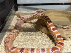 -Zoolung Zoolung动物主题公园(海信广场店)