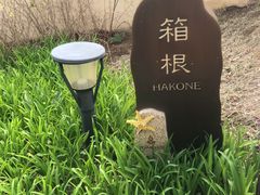 -大连金石滩绿发温泉假日酒店