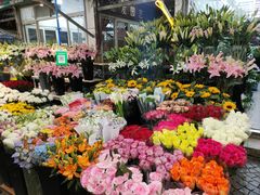-曲阳花鸟市场(曲阳路店)