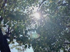 -百味地锅鸡(二店·财校分店)