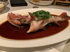 -皇朝会.经典传统粤菜(外滩店)
