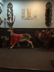 -HMC美容按摩SPA馆