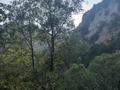 -碓臼峪自然风景区