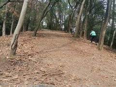 -三门江国家森林公园