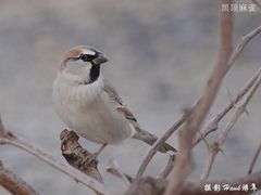 -哈密雅丹大海道景区