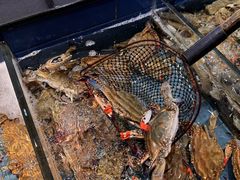 -好兄弟郭巨海鲜(天一阁店)