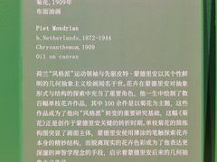 -德基艺术博物馆