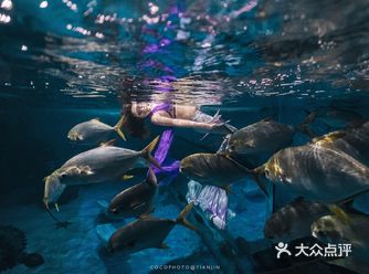 教学日常｜当肚皮舞遇到美人鱼‍♀️