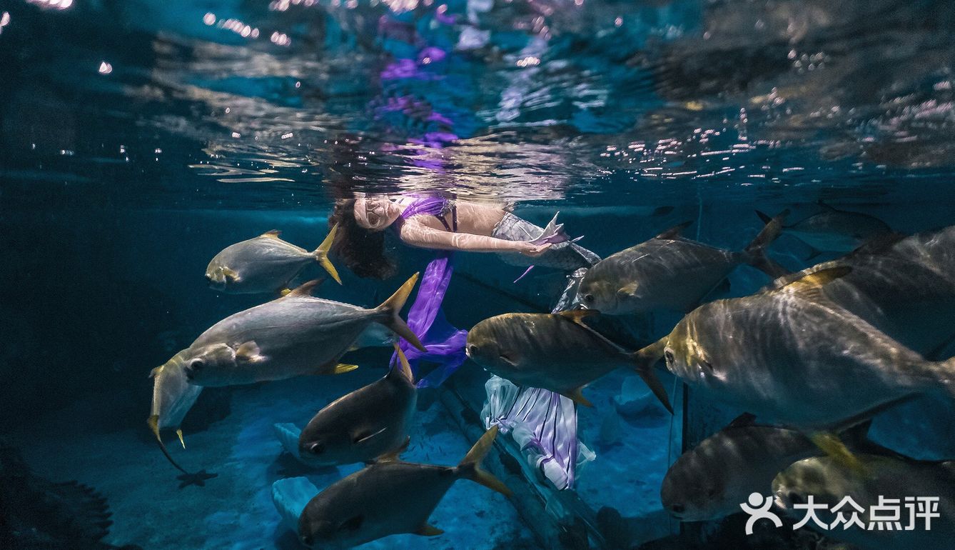 教学日常｜当肚皮舞遇到美人鱼🧜🏻‍♀️