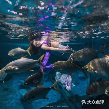 教学日常｜当肚皮舞遇到美人鱼‍♀️