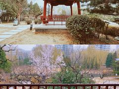 -元大都城垣遗址公园