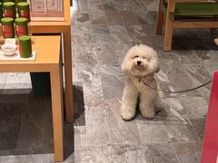 -奈雪茶院·茶室茶馆(广州粤海天地店)