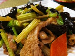 木耳炒芹菜-燕青小馆(东园大厦店)