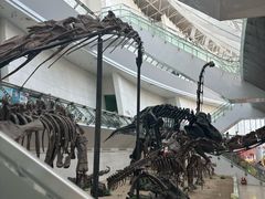 -天津自然博物馆