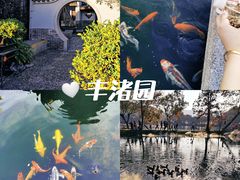 -惠州西湖丰渚园