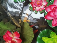 4号楼门口的太平缸-扬州瘦西湖温泉