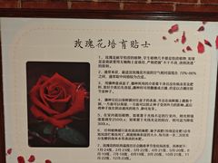 -逃脱反斗城沉浸剧情密室(阳光新业中心店)
