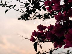 -演武大桥观景平台