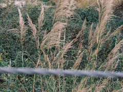 -漓江三星游船(磨盘山码头)