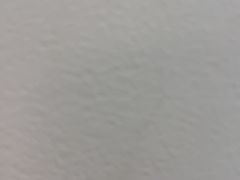 -探窝·竹笙椰子鸡(杨箕店)