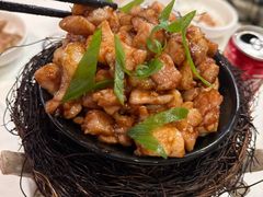 -丁老爷子苏香圆