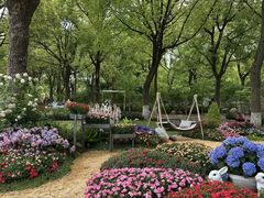 -上海鲜花港