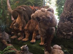 -济州岛泰迪熊博物馆