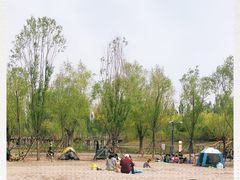 -东郊湿地公园