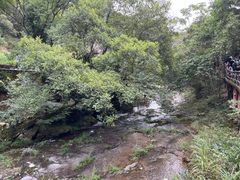 -雁荡山大龙湫景区