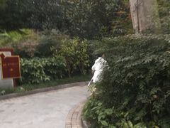 -青城道汤池