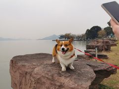 -东钱湖小普陀景区