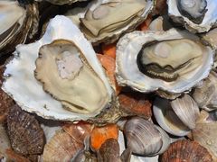 -前王院•巧克力海鲜市集餐厅(万平口店)